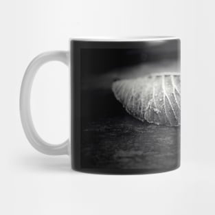 After the Frost Mug